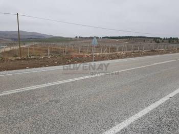 GÜVENAY – ÇORUM CEMİLBEY YOLU ÜZERİ – ANA YOLA CEPHELİ 570 M² CEVİZ AĞAÇLI HAZIR BAHÇE