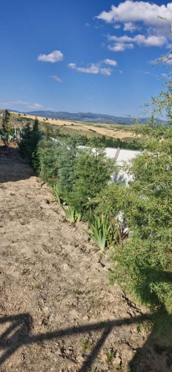 GÜVENAY – ÇORUM HAMAMLI ÇAYKÖY'DE SATILIK BAHÇE