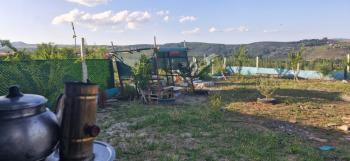 GÜVENAY – ÇORUM HAMAMLI ÇAYKÖY'DE SATILIK BAHÇE