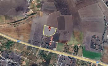 GÜVENAY – ÇORUM İSKİLİP YOLU YANI – 9.675 M² SATILIK VERİMLİ TARLA