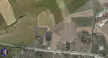 GÜVENAY – ÇORUM İSKİLİP YOLU YANI – 9.675 M² SATILIK VERİMLİ TARLA