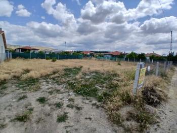 GÜVENAY – ÇORUM CEMİLBEY YOLU ÜZERİ – ANA YOLA CEPHELİ 570 M² CEVİZ AĞAÇLI HAZIR BAHÇE