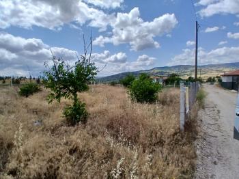 ÇORUM CEMİLBEY YOLU ÜZERİ ANA YOL ÜZERİ SATILIK BAHÇE