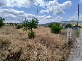 ÇORUM CEMİLBEY YOLU ÜZERİ ANA YOL ÜZERİ SATILIK BAHÇE