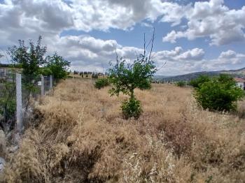 ÇORUM CEMİLBEY YOLU ÜZERİ ANA YOL ÜZERİ SATILIK BAHÇE