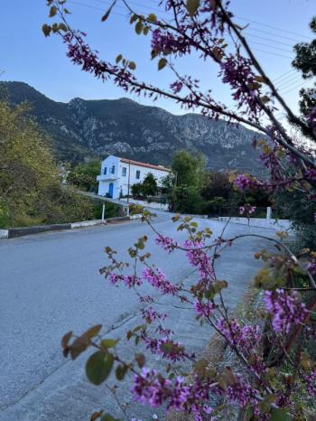 GİRNE LAPTA BÖLGESİNDE SATILIK KOMPLE BİNA ( BUTİK OTEL )   0533 880 00 84