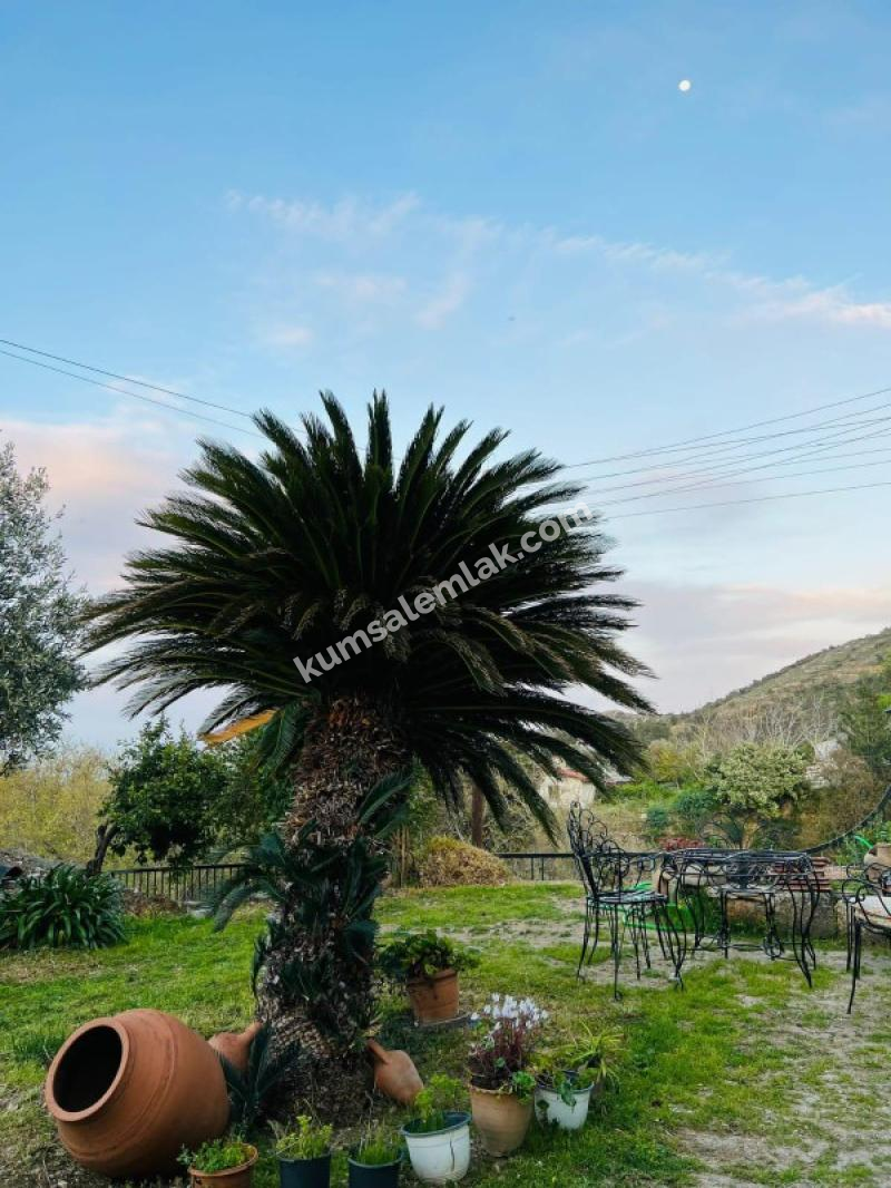 GİRNE LAPTA BÖLGESİNDE SATILIK KOMPLE BİNA ( BUTİK OTEL )   0533 880 00 84