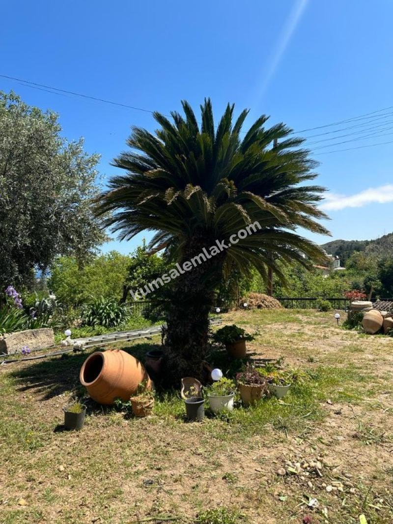 GİRNE LAPTA BÖLGESİNDE SATILIK KOMPLE BİNA ( BUTİK OTEL )   0533 880 00 84