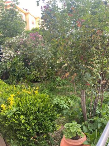 ATALAR MH.,3 + 1, 100 M², GENÇ BİNA, BAKIMLI, BOYALI