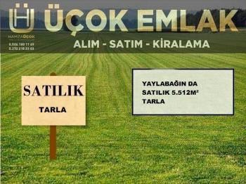 AFYON ÜÇOK EMLAKTAN YAYLABAĞINDA SATILIK TARLA 
