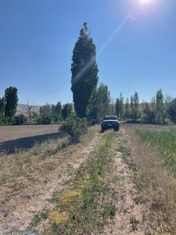 AFYON ÜÇOK EMLAKTAN SÜLÜNDE SATILIK FIRSAT TARLA
