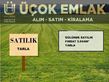 AFYON ÜÇOK EMLAKTAN SÜLÜNDE SATILIK FIRSAT TARLA