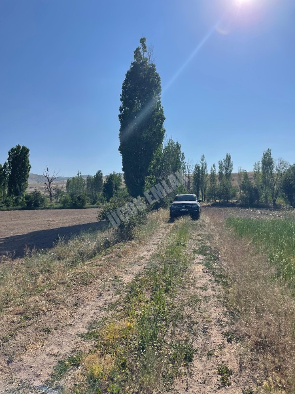 AFYON ÜÇOK EMLAKTAN SÜLÜNDE SATILIK FIRSAT TARLA