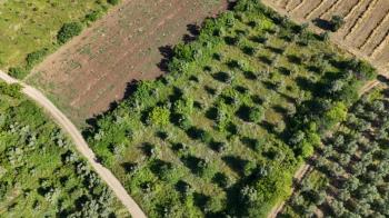 EMLAK HABERCİSİ 'NDEN MUDANYA HALİLBEY TAPULU 55 METRE RESMİ YOLA CEPHESİ OLAN 6 DÖNÜM TARLA VASFINDA ARAZİ