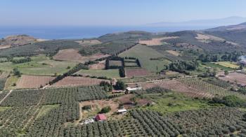 EMLAK HABERCİSİ 'NDEN MUDANYA YALIÇİFTLİK TAPULU, İKİ RESMİ YOLU OLAN, ASFALTA 500 METRE  FULL DENİZ ARAZİ