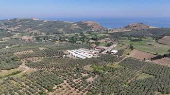 EMLAK HABERCİSİ 'NDEN MUDANYA YALIÇİFTLİK TAPULU, İKİ RESMİ YOLU OLAN, ASFALTA 500 METRE  FULL DENİZ ARAZİ