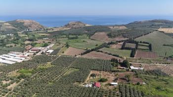 EMLAK HABERCİSİ 'NDEN MUDANYA YALIÇİFTLİK TAPULU, İKİ RESMİ YOLU OLAN, ASFALTA 500 METRE  FULL DENİZ ARAZİ