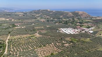 EMLAK HABERCİSİ 'NDEN MUDANYA YALIÇİFTLİK TAPULU, İKİ RESMİ YOLU OLAN, ASFALTA 500 METRE  FULL DENİZ ARAZİ