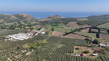 EMLAK HABERCİSİ 'NDEN MUDANYA YALIÇİFTLİK TAPULU, İKİ RESMİ YOLU OLAN, ASFALTA 500 METRE  FULL DENİZ ARAZİ