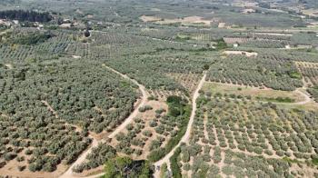 EMLAK HABERCİSİ 'NDEN MUDANYA YALIÇİFTLİK TAPULU, İKİ RESMİ YOLU OLAN, ASFALTA 500 METRE  FULL DENİZ ARAZİ