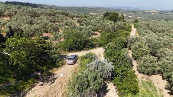 EMLAK HABERCİSİ 'NDEN MUDANYA YALIÇİFTLİK TAPULU, İKİ RESMİ YOLU OLAN, ASFALTA 500 METRE  FULL DENİZ ARAZİ