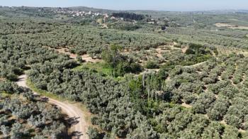 EMLAK HABERCİSİ 'NDEN MUDANYA YALIÇİFTLİK TAPULU, İKİ RESMİ YOLU OLAN, ASFALTA 500 METRE  FULL DENİZ ARAZİ