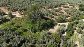 EMLAK HABERCİSİ 'NDEN MUDANYA YALIÇİFTLİK TAPULU, İKİ RESMİ YOLU OLAN, ASFALTA 500 METRE  FULL DENİZ ARAZİ