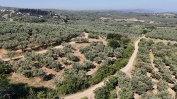 EMLAK HABERCİSİ 'NDEN MUDANYA YALIÇİFTLİK TAPULU, İKİ RESMİ YOLU OLAN, ASFALTA 500 METRE  FULL DENİZ ARAZİ