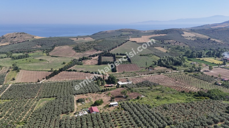 EMLAK HABERCİSİ 'NDEN MUDANYA YALIÇİFTLİK TAPULU, İKİ RESMİ YOLU OLAN, ASFALTA 500 METRE  FULL DENİZ ARAZİ