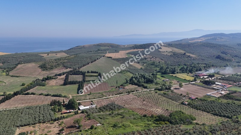EMLAK HABERCİSİ 'NDEN MUDANYA YALIÇİFTLİK TAPULU, İKİ RESMİ YOLU OLAN, ASFALTA 500 METRE  FULL DENİZ ARAZİ