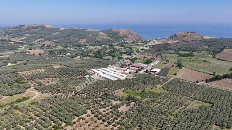 EMLAK HABERCİSİ 'NDEN MUDANYA YALIÇİFTLİK TAPULU, İKİ RESMİ YOLU OLAN, ASFALTA 500 METRE  FULL DENİZ ARAZİ