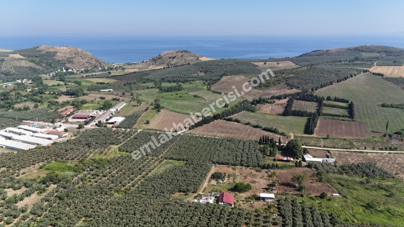 EMLAK HABERCİSİ 'NDEN MUDANYA YALIÇİFTLİK TAPULU, İKİ RESMİ YOLU OLAN, ASFALTA 500 METRE  FULL DENİZ ARAZİ