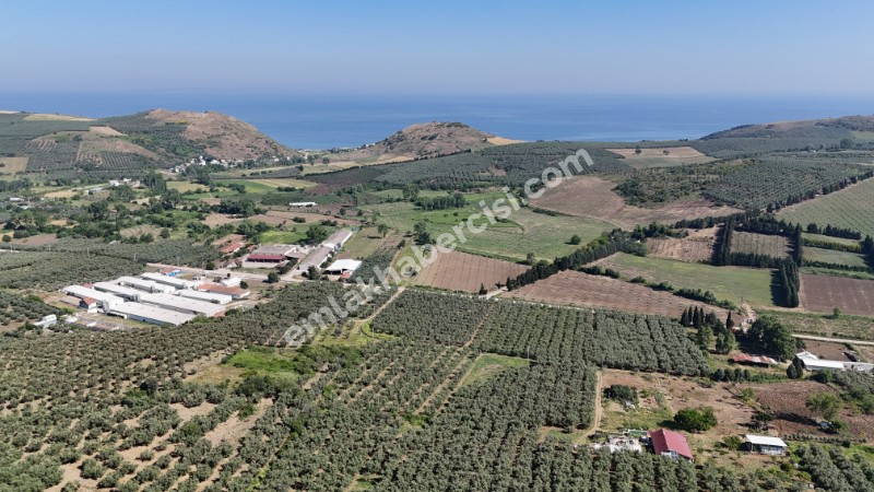 EMLAK HABERCİSİ 'NDEN MUDANYA YALIÇİFTLİK TAPULU, İKİ RESMİ YOLU OLAN, ASFALTA 500 METRE  FULL DENİZ ARAZİ
