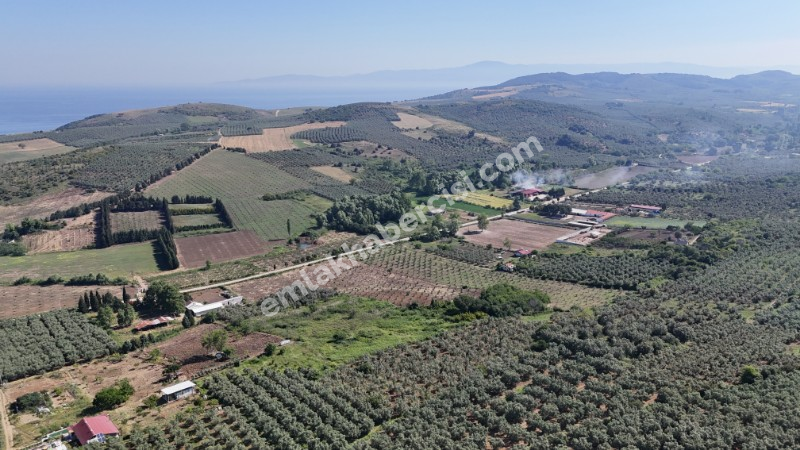 EMLAK HABERCİSİ 'NDEN MUDANYA YALIÇİFTLİK TAPULU, İKİ RESMİ YOLU OLAN, ASFALTA 500 METRE  FULL DENİZ ARAZİ