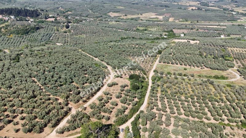 EMLAK HABERCİSİ 'NDEN MUDANYA YALIÇİFTLİK TAPULU, İKİ RESMİ YOLU OLAN, ASFALTA 500 METRE  FULL DENİZ ARAZİ