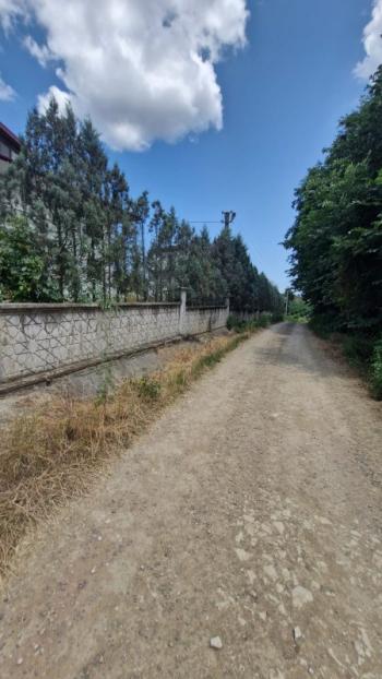 SAKARYA KAYNARCA 'DA KALABALIK  AİLELER İÇİN 11.600 m2 ARAZİ İÇİNDE 2 ADET BÜYÜK TİP VİLLA