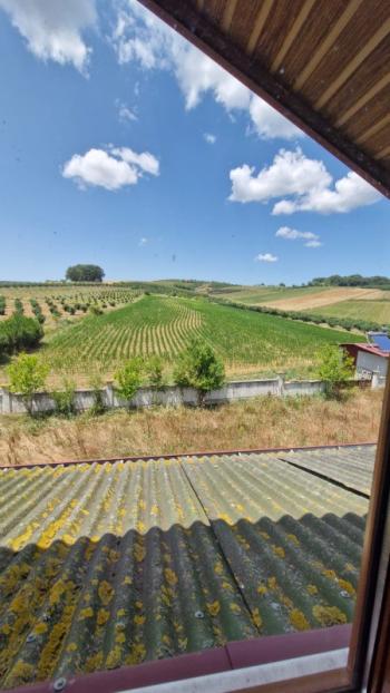 SAKARYA KAYNARCA 'DA KALABALIK  AİLELER İÇİN 11.600 m2 ARAZİ İÇİNDE 2 ADET BÜYÜK TİP VİLLA