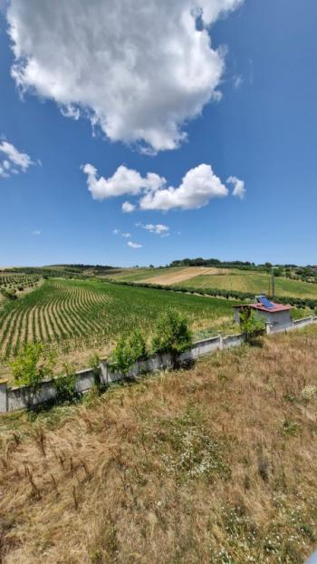 SAKARYA KAYNARCA 'DA KALABALIK  AİLELER İÇİN 11.600 m2 ARAZİ İÇİNDE 2 ADET BÜYÜK TİP VİLLA