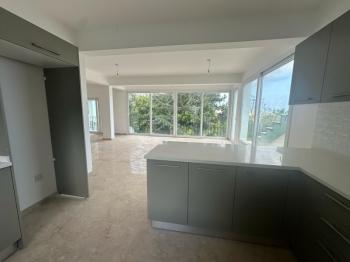 GİRNE OZANKÖY BÖLGESİNDE SATILIK TRİPLEX LÜKS 4 + 1 VİLLA  ( 0533 880 00 85 )