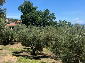 EMLAK HABERCİSİ 'NDEN MUDANYA KUMYAKA MERKEZDE, ANA ASFALTA CEPHE, DENİZ MANZARALI SATILIK 3.700 M2 ARAZİ
