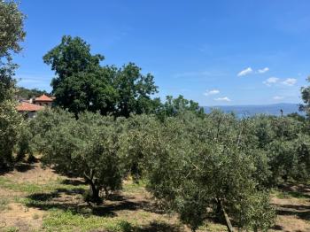 EMLAK HABERCİSİ 'NDEN MUDANYA KUMYAKA MERKEZDE, ANA ASFALTA CEPHE, DENİZ MANZARALI SATILIK 3.700 M2 ARAZİ