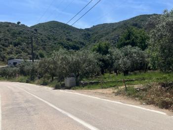 EMLAK HABERCİSİ 'NDEN MUDANYA KUMYAKA MERKEZDE, ANA ASFALTA CEPHE, DENİZ MANZARALI SATILIK 3.700 M2 ARAZİ