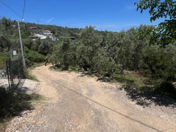 EMLAK HABERCİSİ 'NDEN MUDANYA KUMYAKA MERKEZDE, ANA ASFALTA CEPHE, DENİZ MANZARALI SATILIK 3.700 M2 ARAZİ