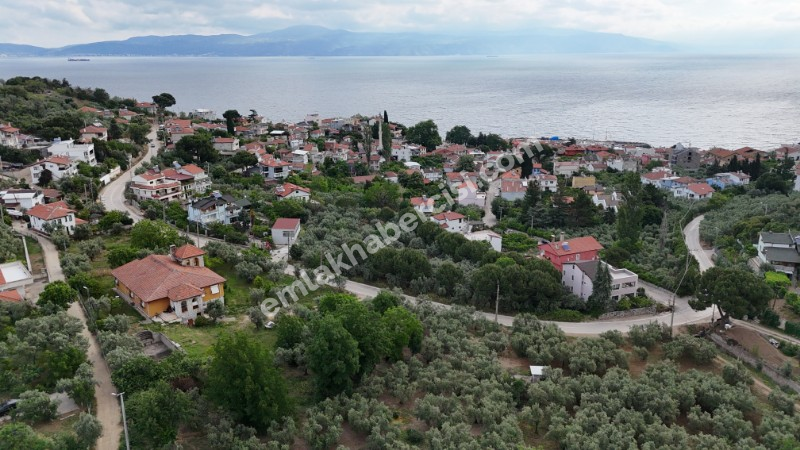 EMLAK HABERCİSİ 'NDEN MUDANYA KUMYAKA MERKEZDE, ANA ASFALTA CEPHE, DENİZ MANZARALI SATILIK 3.700 M2 ARAZİ