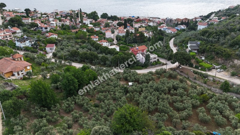 EMLAK HABERCİSİ 'NDEN MUDANYA KUMYAKA MERKEZDE, ANA ASFALTA CEPHE, DENİZ MANZARALI SATILIK 3.700 M2 ARAZİ