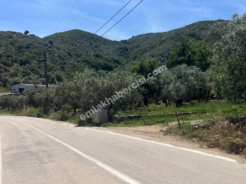 EMLAK HABERCİSİ 'NDEN MUDANYA KUMYAKA MERKEZDE, ANA ASFALTA CEPHE, DENİZ MANZARALI SATILIK 3.700 M2 ARAZİ
