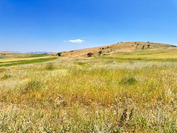 GÜVENAY - ÇORUM SAMSUN YOLU 4.520 M² SATILIK TARLA