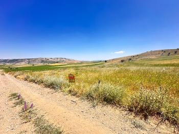 GÜVENAY - ÇORUM SAMSUN YOLU 4.520 M² SATILIK TARLA