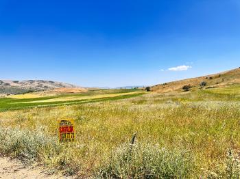 GÜVENAY - ÇORUM SAMSUN YOLU 4.520 M² SATILIK TARLA