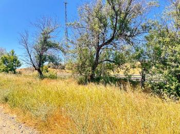 GÜVENAY - ÇORUM SAMSUN YOLU 4.520 M² SATILIK TARLA